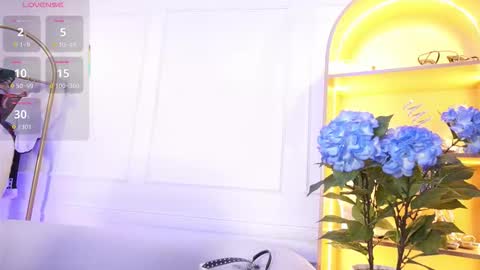 Elasummeer online show from 10/30/25, 11:55