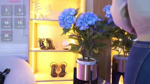 Elasummeer online show from 11/10/25, 11:53