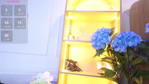 Elasummeer online show from 11/13/25, 11:31