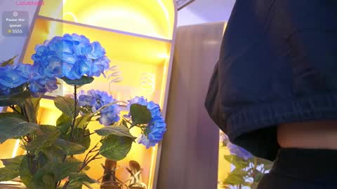 Elasummeer online show from 12/17/25, 12:00