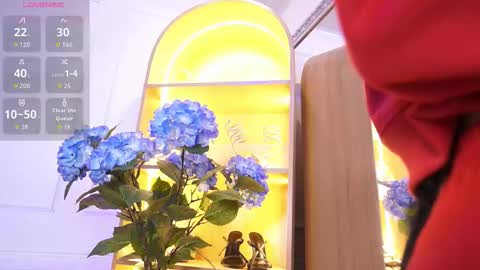 Elasummeer online show from 01/07/26, 12:29