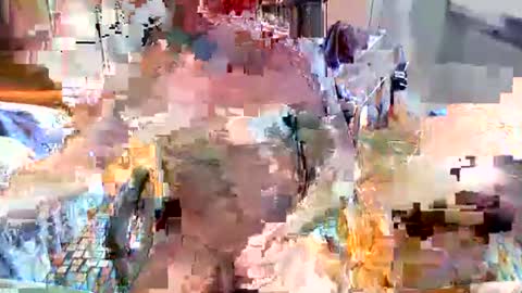 Snapshot of elbasca chatting on 02/18/26, 12:12 elbasca online show from 02/18/26, 12:12