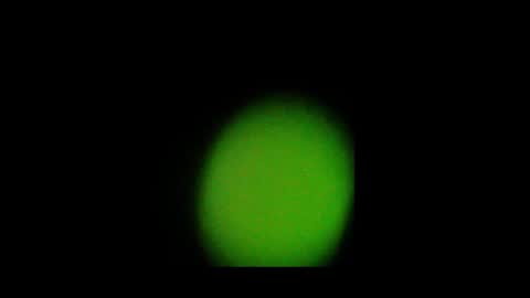 Snapshot of eldonan chatting on 10/24/25, 02:02 Nando online show from 10/24/25, 02:02