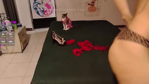 Snapshot of elektra_and_konan_01 chatting on 09/20/25, 12:06 Elektra and Konan online show from 09/20/25, 12:06