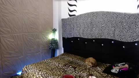 ELEKTRA  hii my birthday is tomorrow but I will celebrate it on Sunday Ill wait for you online show from 12/31/24, 04:16