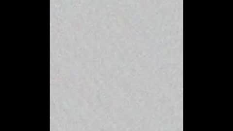 elephant_titus online show from 01/20/25, 11:02