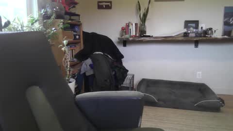 Snapshot of elephantfox chatting on 02/22/26, 07:01 fox online show from 02/22/26, 07:01