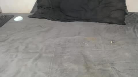 elgsslt online show from 11/18/25, 03:38