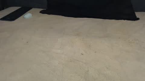 elgsslt online show from 03/17/26, 12:19