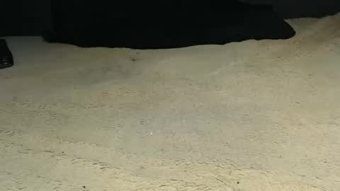 elgsslt online show from 04/09/26, 09:26