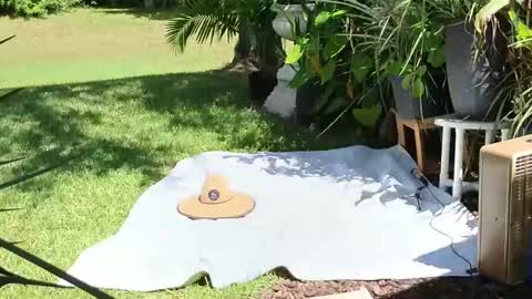 Snapshot of eliberator chatting on 09/21/25, 05:03 eliberator online show from 09/21/25, 05:03