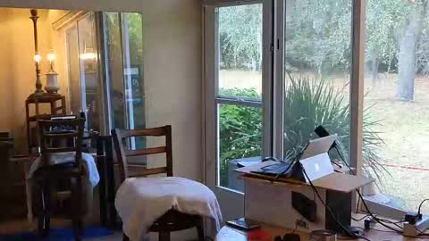 Snapshot of eliberator chatting on 01/07/26, 06:43 eliberator online show from 01/07/26, 06:43