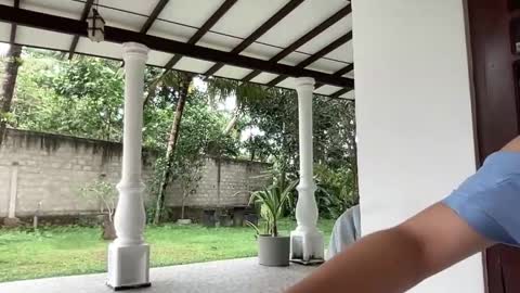   online show from 01/28/25, 07:00