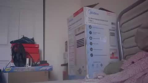 eliexavier123456789 online show from 12/23/24, 08:36