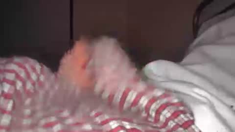 eliexavier123456789 online show from 04/21/26, 05:36