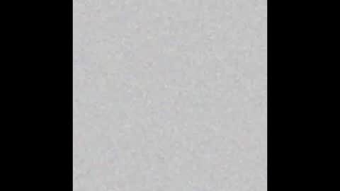 Snapshot of eligraysonx chatting on 12/22/25, 12:51 Eli Grayson online show from 12/22/25, 12:51