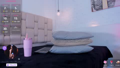 E L I I Z A B E T H   online show from 12/28/24, 08:48