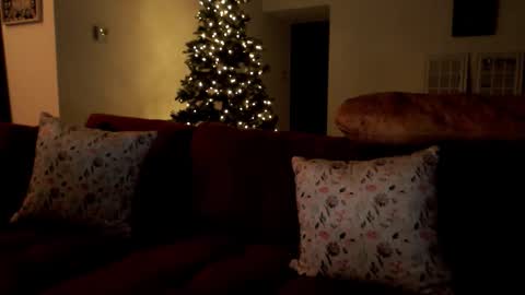 Snapshot of elinah_hanile chatting on 12/02/25, 10:53 Elinah online show from 12/02/25, 10:53