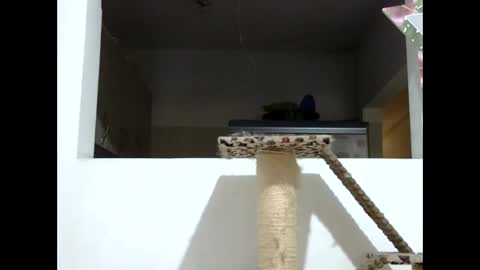 Snapshot of elizabeth_martinez_ chatting on 01/19/25, 08:09 Elizabeth Martinez online show from 01/19/25, 08:09