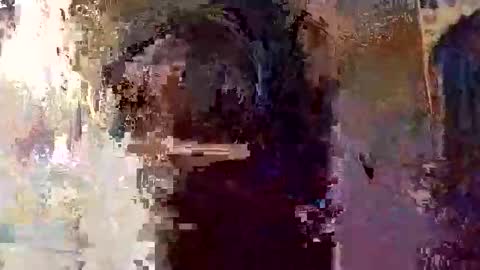 Snapshot of elizabit chatting on 04/05/26, 09:28 elizabit online show from 04/05/26, 09:28