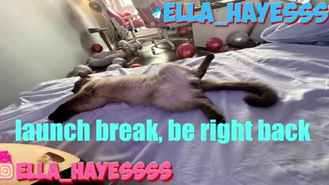 Snapshot of ella_hayes chatting on 01/07/25, 12:45 Ella NEXT STREAM 1TH DECEMBER 1200 - 0800 AM AT MOSCOW TIME online show from 01/07/25, 12:45