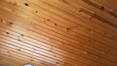 ellalowe online show from 03/22/26, 02:53