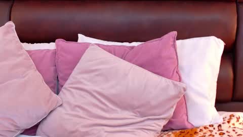 Ella Sanders online show from 03/27/26, 11:48