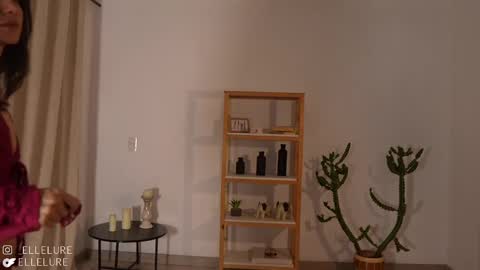 Snapshot of ellelure_ chatting on 03/05/25, 11:49 Linda Restrepo online show from 03/05/25, 11:49