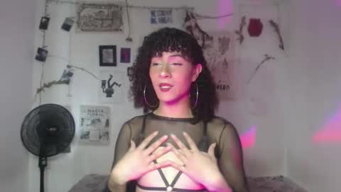  . online show from 03/03/26, 07:53