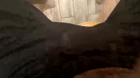 Snapshot of elparador chatting on 12/08/24, 07:58 El Parador online show from 12/08/24, 07:58