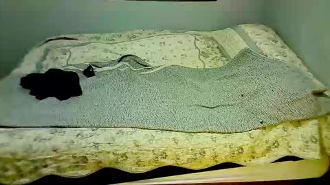 Elpouro online show from 03/07/26, 10:01