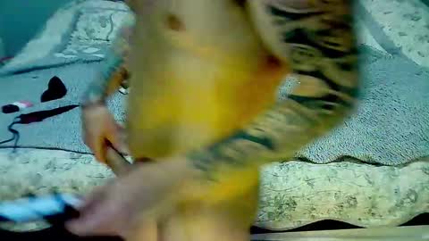 Elpouro online show from 03/09/26, 05:11