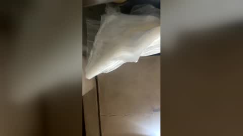 elpresi253 online show from 04/21/26, 06:55