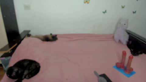 Snapshot of elsamails chatting on 05/01/26, 06:23 Elsa online show from 05/01/26, 06:23