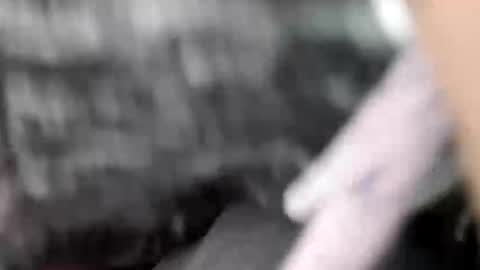 elvergg1 online show from 02/01/26, 07:18