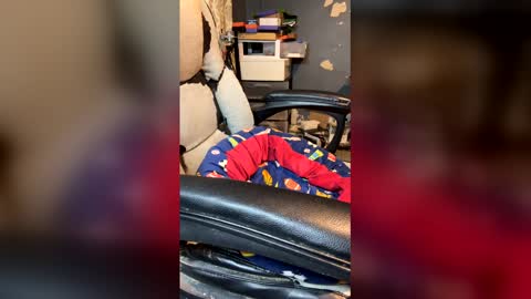 elvergg1 online show from 04/04/26, 01:37