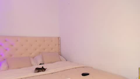 Michelle online show from 03/20/26, 07:30