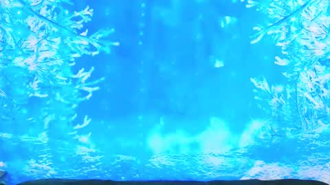 Ember Starleena online show from 01/19/26, 03:49