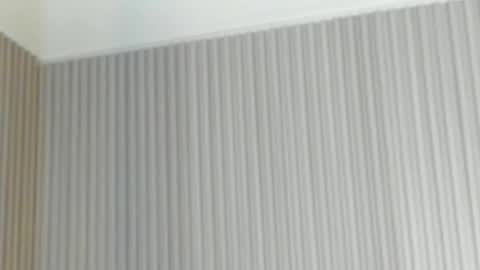 emelie_89 online show from 04/21/26, 11:49