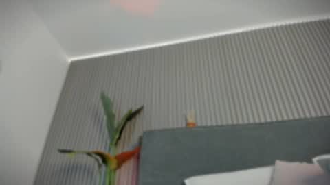 emelie_89 online show from 07/02/26, 11:38