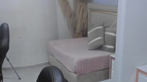 Snapshot of emelie_ch_ chatting on 12/11/24, 06:47 Emily  online show from 12/11/24, 06:47