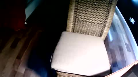 Snapshot of emi4850 chatting on 12/08/24, 08:15 emi4850 online show from 12/08/24, 08:15