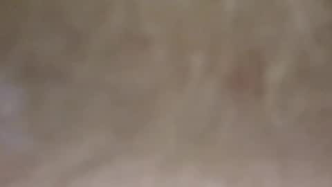 Snapshot of emilmirror chatting on 02/11/25, 07:54 emilmirror online show from 02/11/25, 07:54