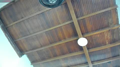 Emily  online show from 09/26/25, 11:03