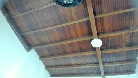 Emily  online show from 02/04/26, 11:05