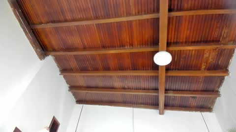 Emily  online show from 02/21/26, 11:00