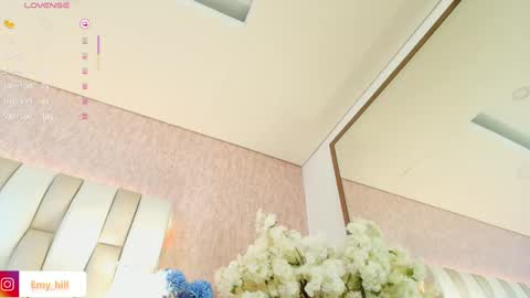 EMILY   Monday 5-2 am From Tuesday to Friday5-1 am Colombia time online show from 03/11/25, 01:05