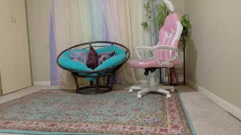 emily haze online show from 11/08/25, 05:56