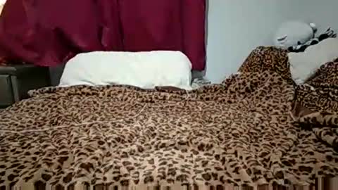 Snapshot of emilysparkss chatting on 11/03/25, 02:46 emilysparkss online show from 11/03/25, 02:46