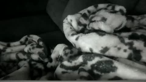 Snapshot of emilywarren296 chatting on 10/21/25, 01:12 emilywarren296 online show from 10/21/25, 01:12